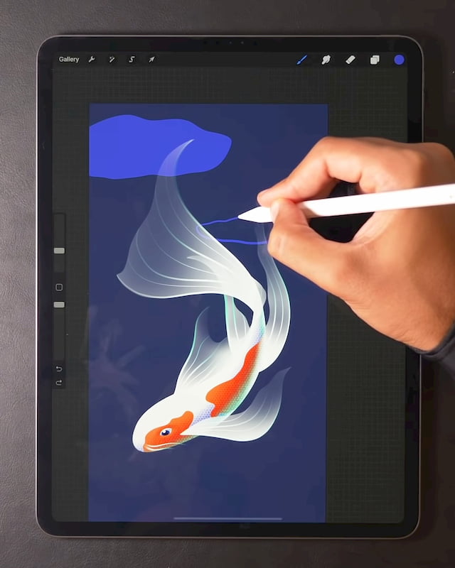 timelapse of illustrating a fish