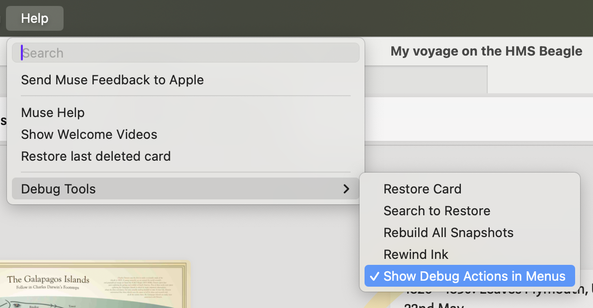 Enable debug actions