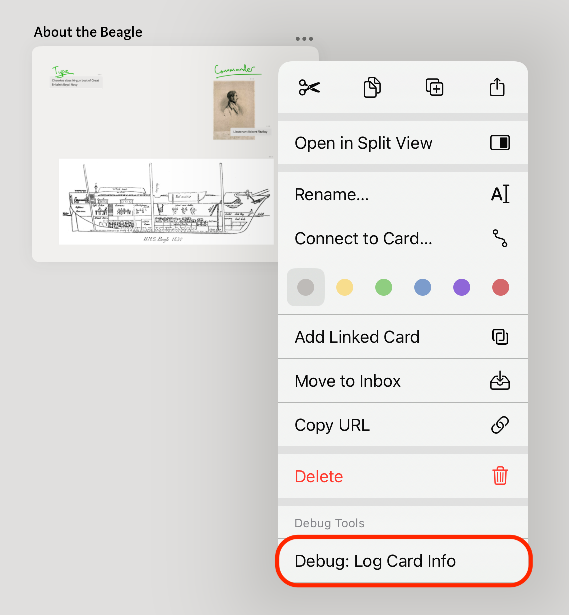 Log card info on iPad