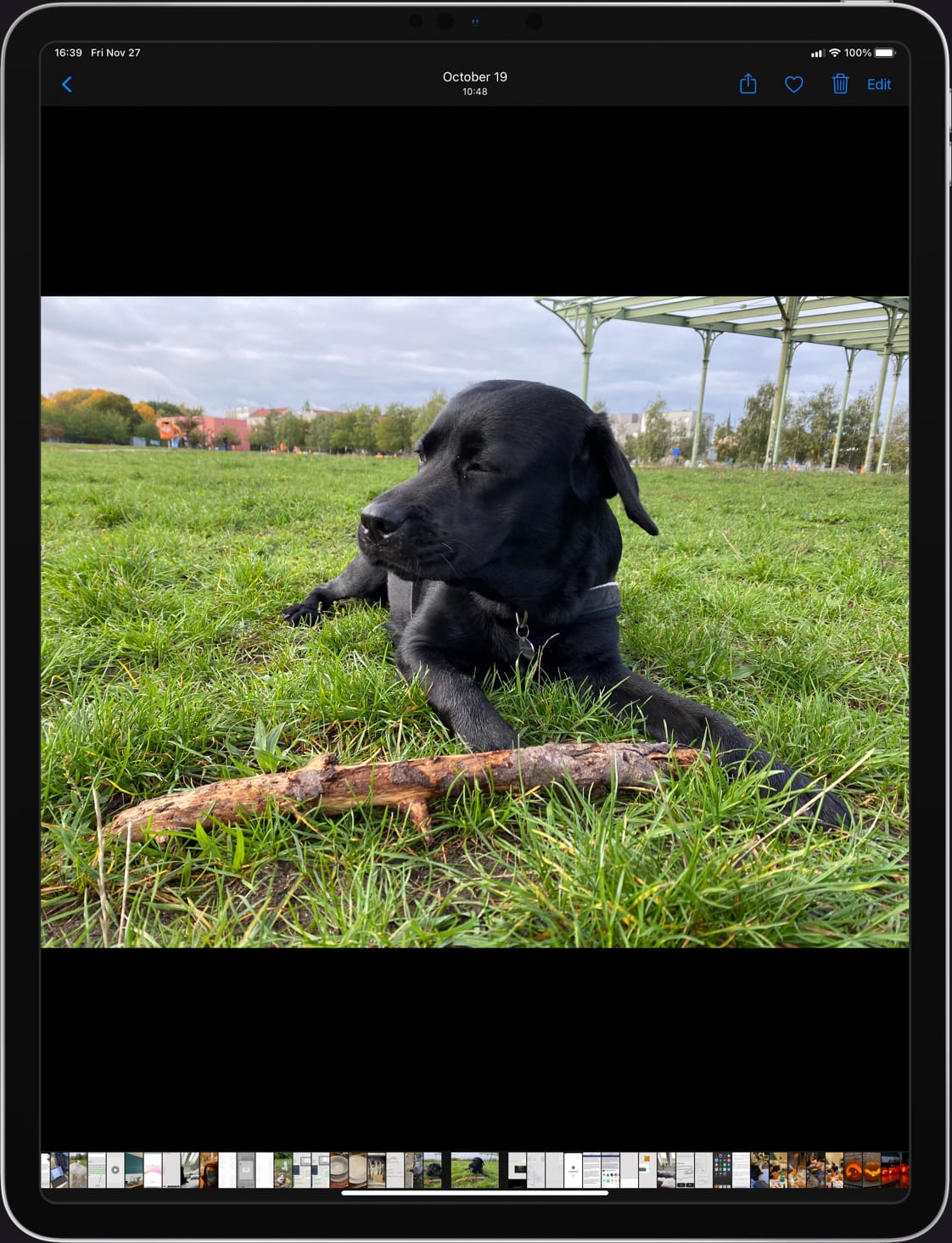 Photos app with black bars in portait mode